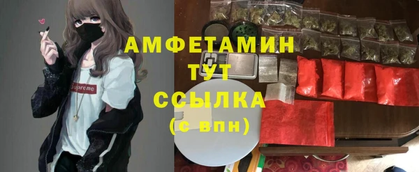 стафф Аркадак