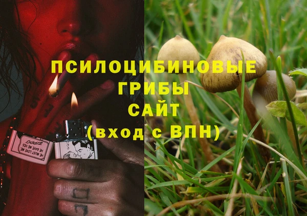 стафф Аркадак
