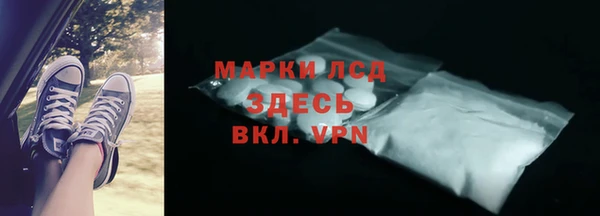 стафф Аркадак